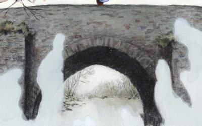 Riflessioni e motivazioni della Giuria Tecnica libro finalista “Mal di nebbia” di Nicoletta Gramantieri -Emos!raga