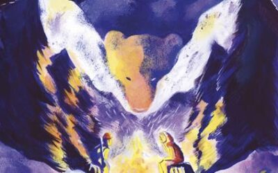 Riflessioni e motivazioni della Giuria Tecnica libro finalista “L’orsa” di Daniele Movarelli  -Feltrinelli